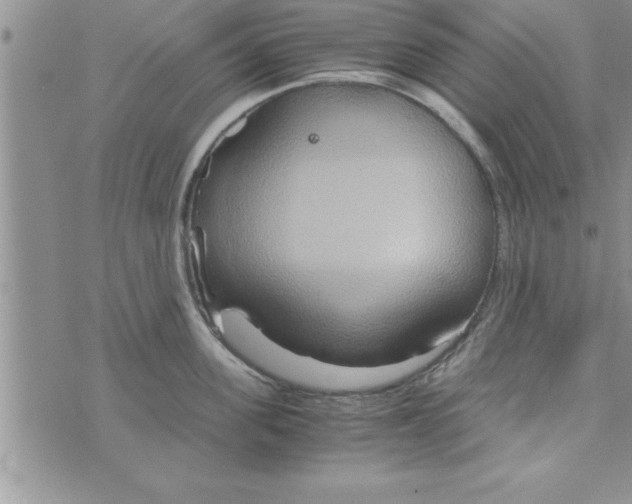 X0000075890955200610062049