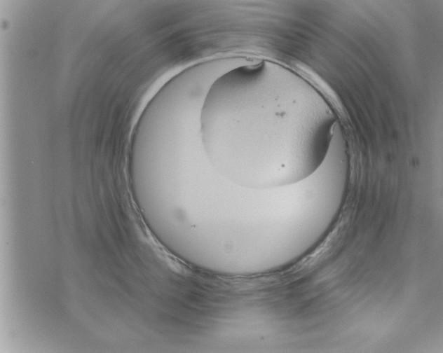 X0000075890956200610062049