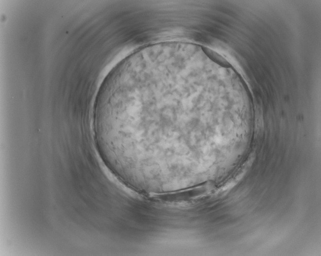 X0000075890957200610062049