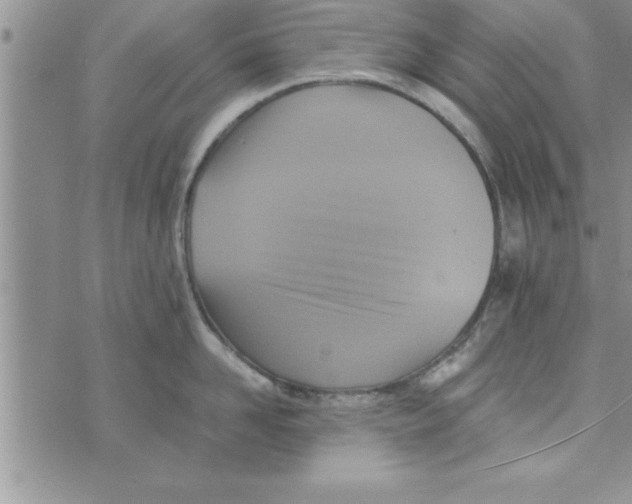 X0000075890958200610062049