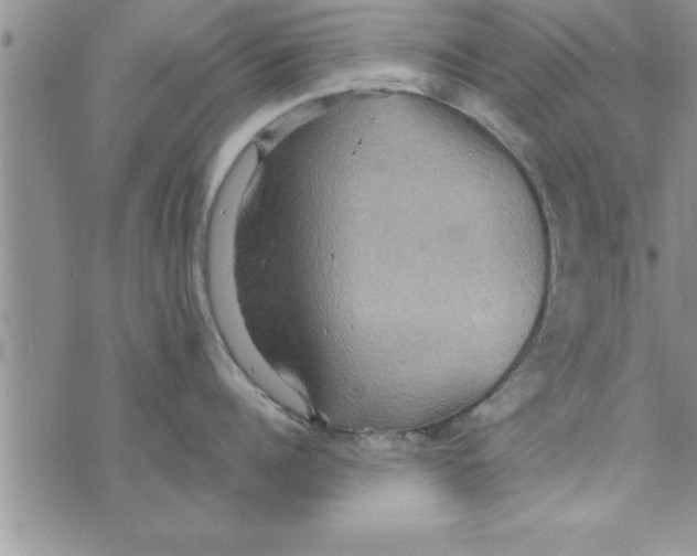 X0000075890960200610062050