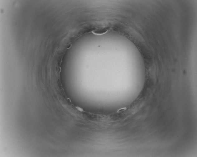 X0000075890961200610062049