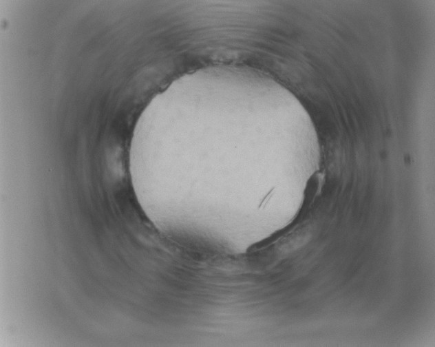 X0000075890962200610062049