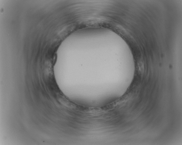 X0000075890964200610062049