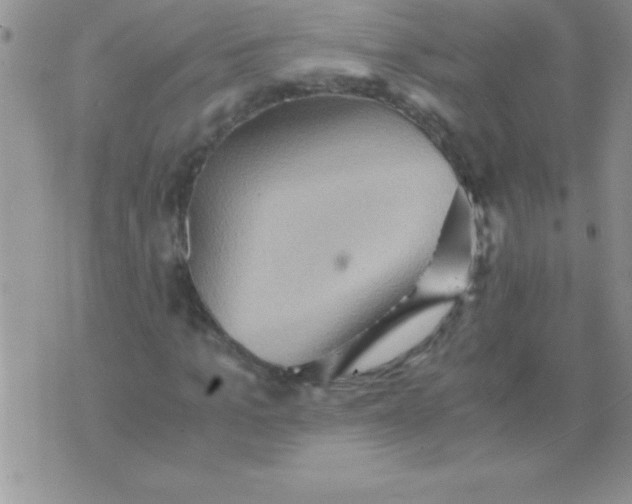 X0000075890965200610062049