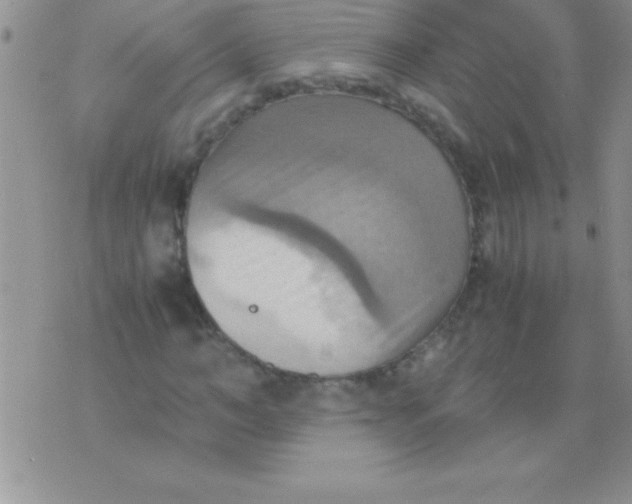 X0000075890966200610062049