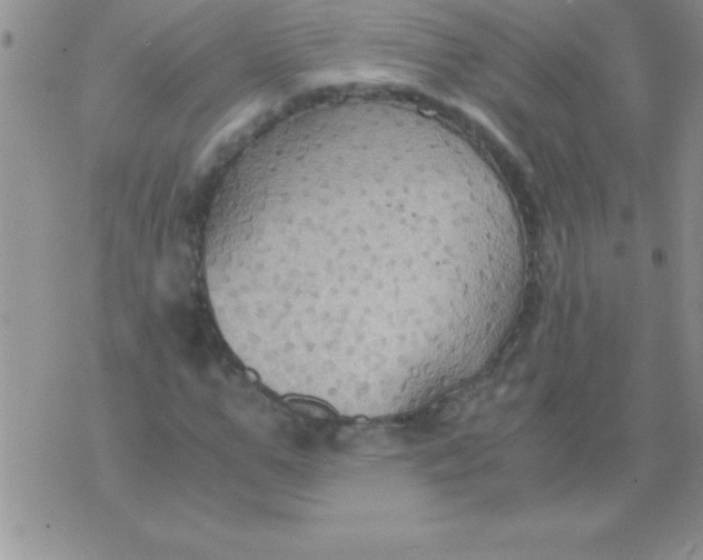 X0000075890967200610062049