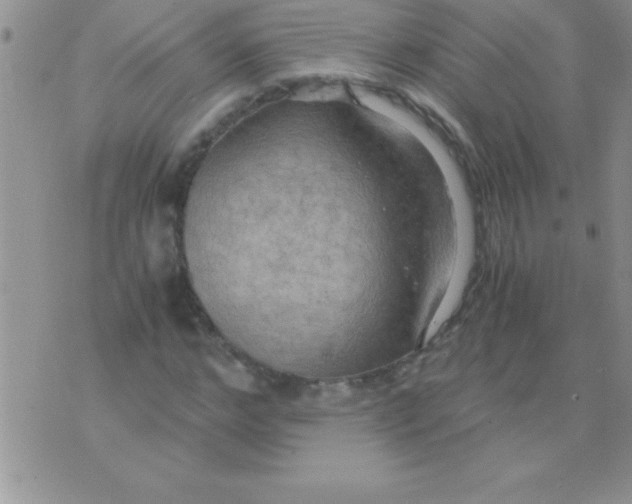 X0000075890968200610062049