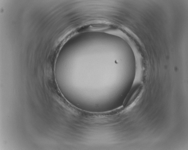 X0000075890969200610062048