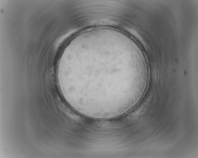 X0000075890971200610062048