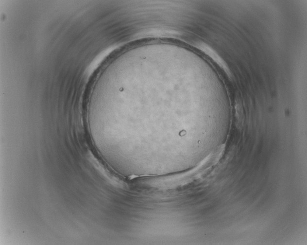 X0000075890972200610062048