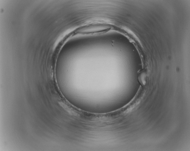 X0000075890973200610062048