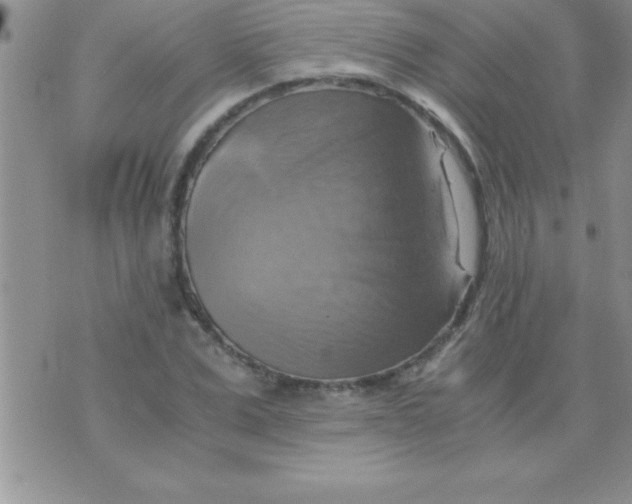 X0000075890975200610062048