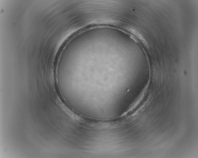 X0000075890976200610062048