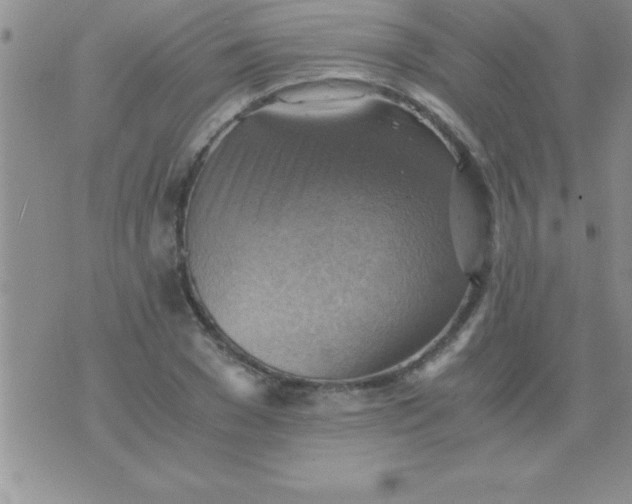 X0000075890977200610062048