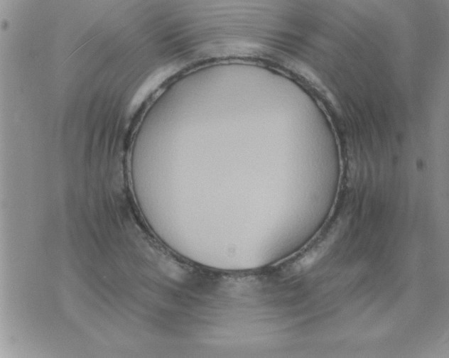 X0000075890978200610062048