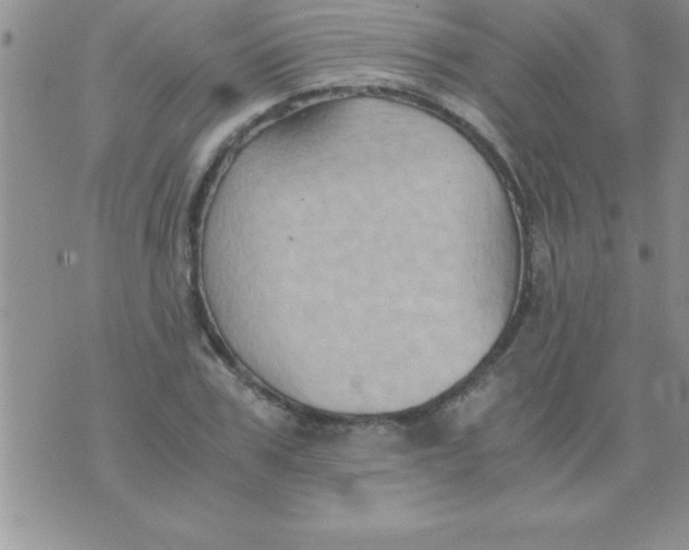 X0000075890979200610062048