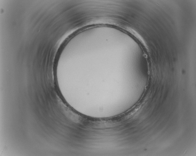 X0000075890980200610062048