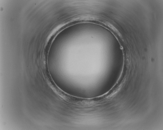 X0000075890981200610062048