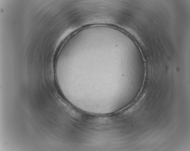 X0000075890982200610062048