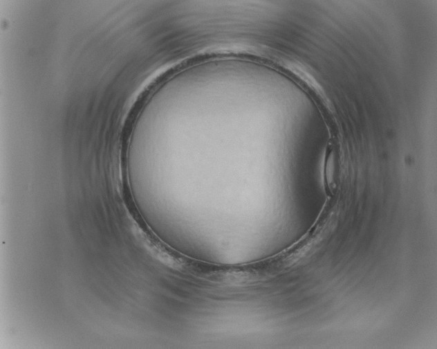 X0000075890984200610062048