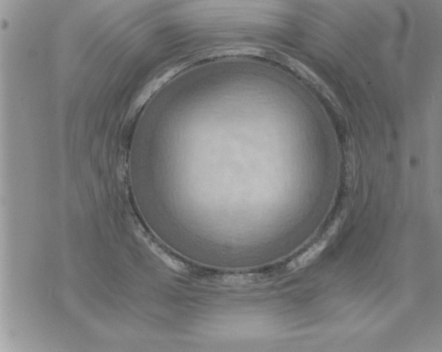 X0000075890985200610062048