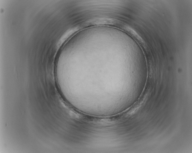 X0000075890986200610062048