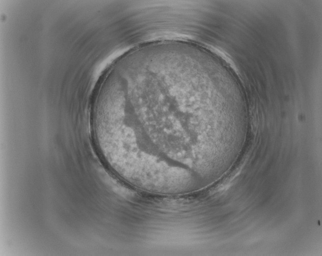 X0000075890987200610062048