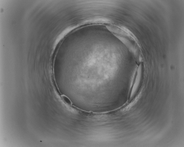 X0000075890989200610062048