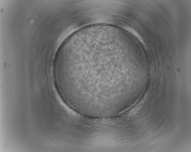 X0000075890991200610062048