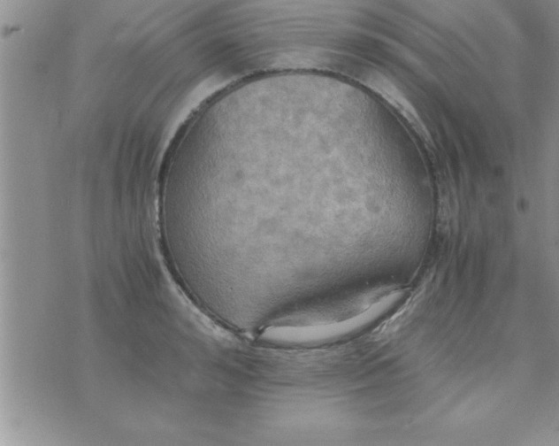 X0000075890992200610062048