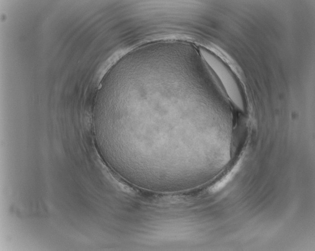 X0000075890993200610062048