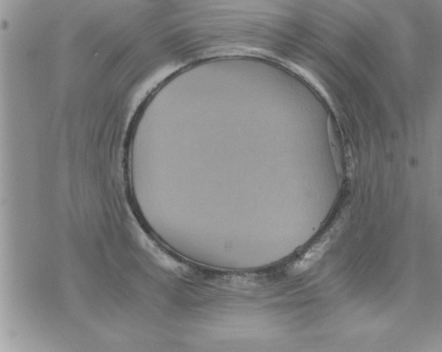 X0000075890995200610062048