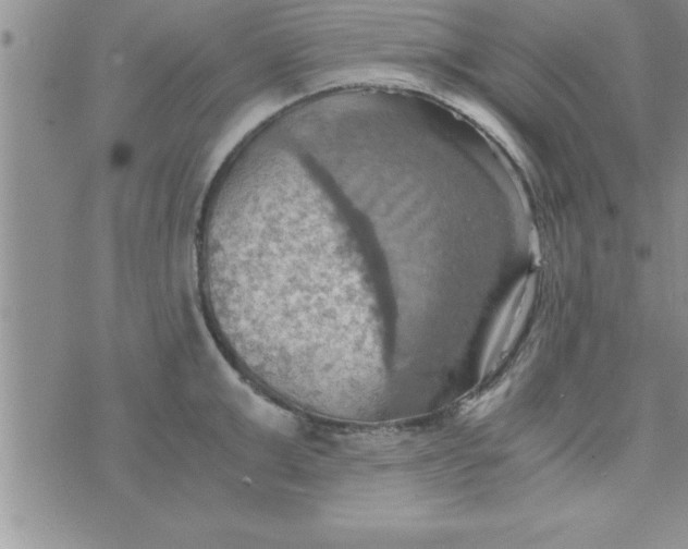 X0000075890999200610062048