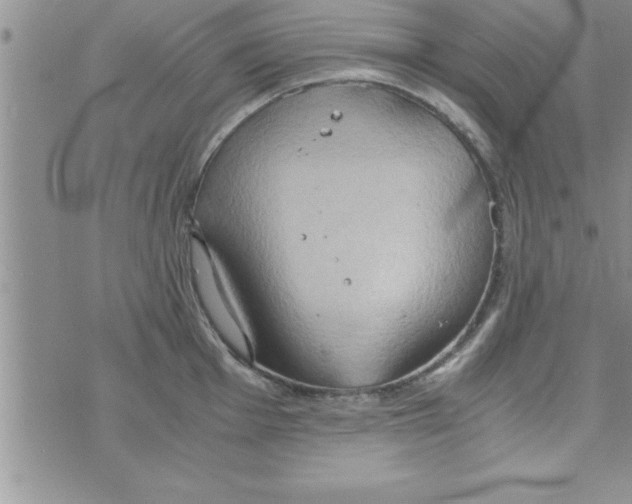 X0000075891001200610062048