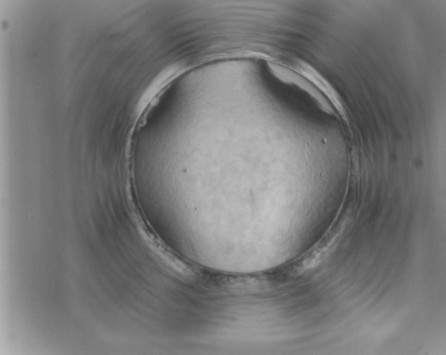 X0000075891002200610062048