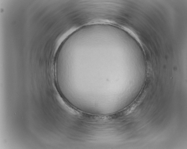 X0000075891003200610062048