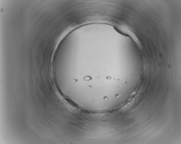 X0000075891004200610062048