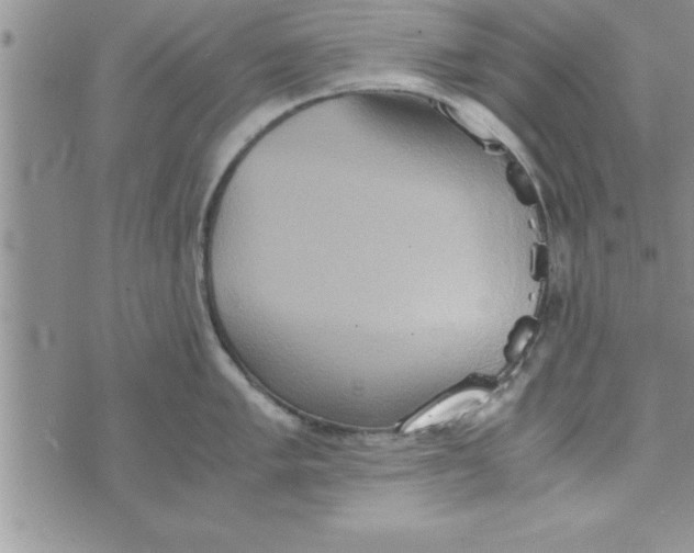 X0000075891005200610062048