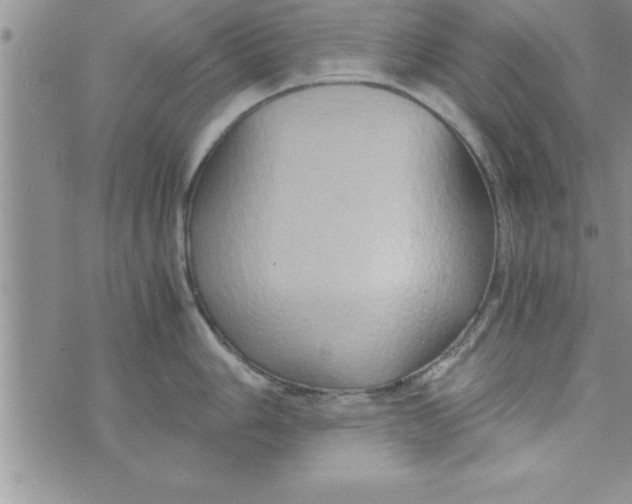 X0000075891006200610062048