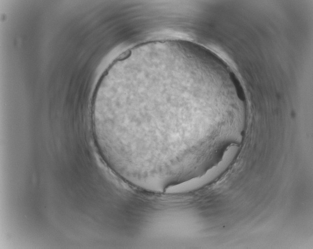 X0000075891008200610062048