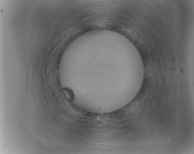 X0000075891009200610062047