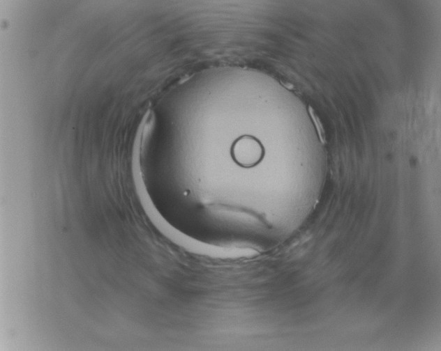 X0000075891010200610062047