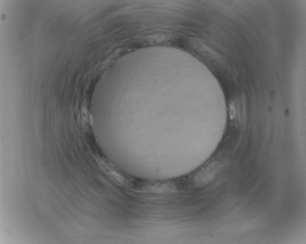 X0000075891011200610062047