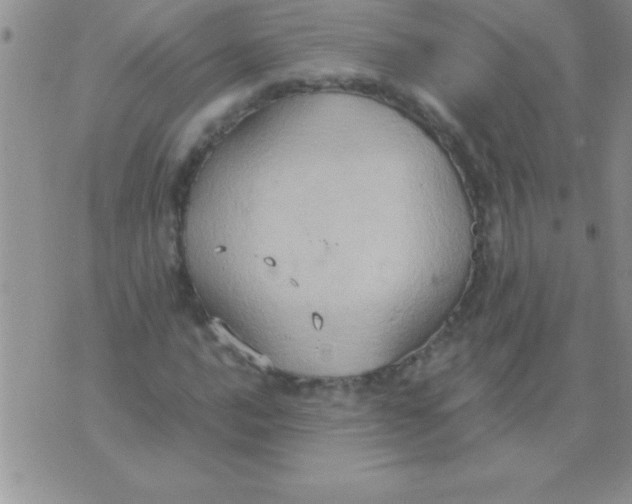 X0000075891016200610062047