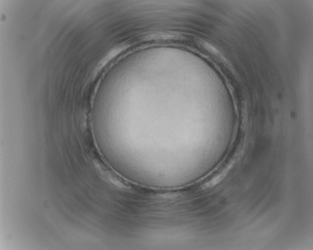 X0000075891017200610062047