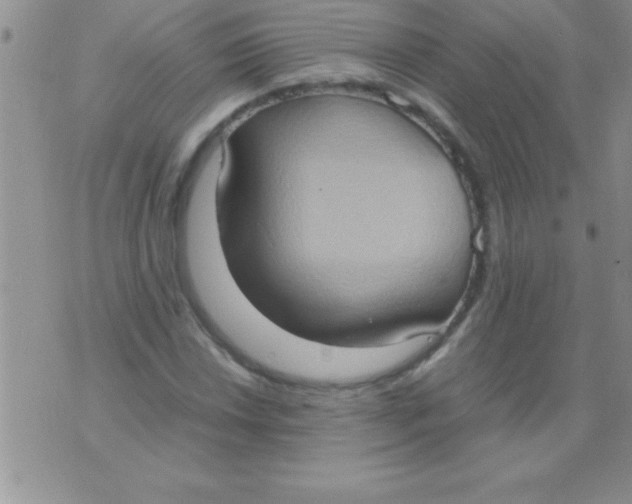 X0000075891018200610062047