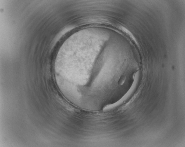 X0000075891019200610062047