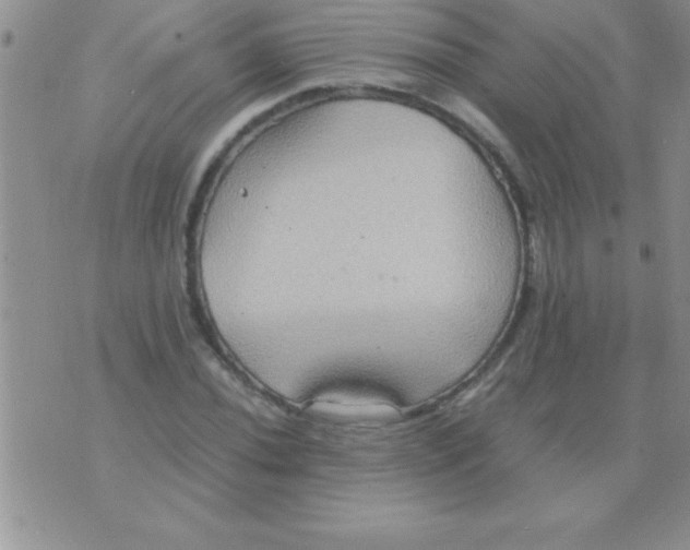 X0000075891020200610062047