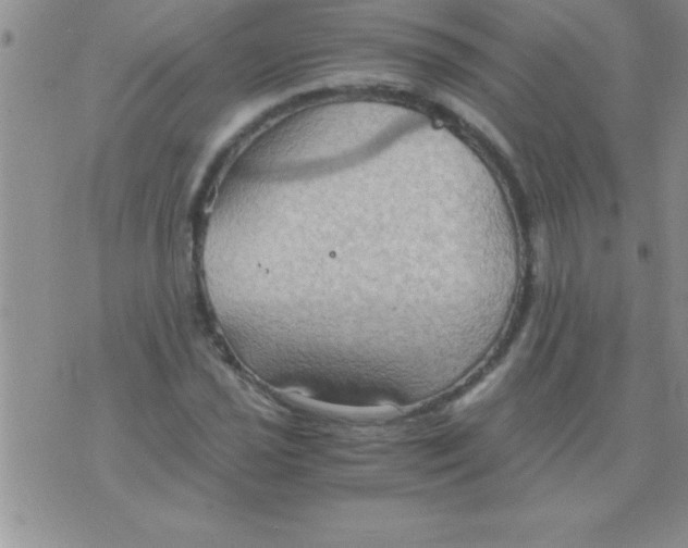 X0000075891021200610062047